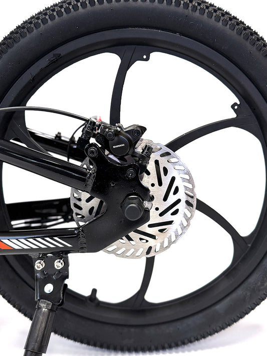 2025 Orion e20x – 20″ Wheel 500W 48V – Deluxe Electric Balance Bike