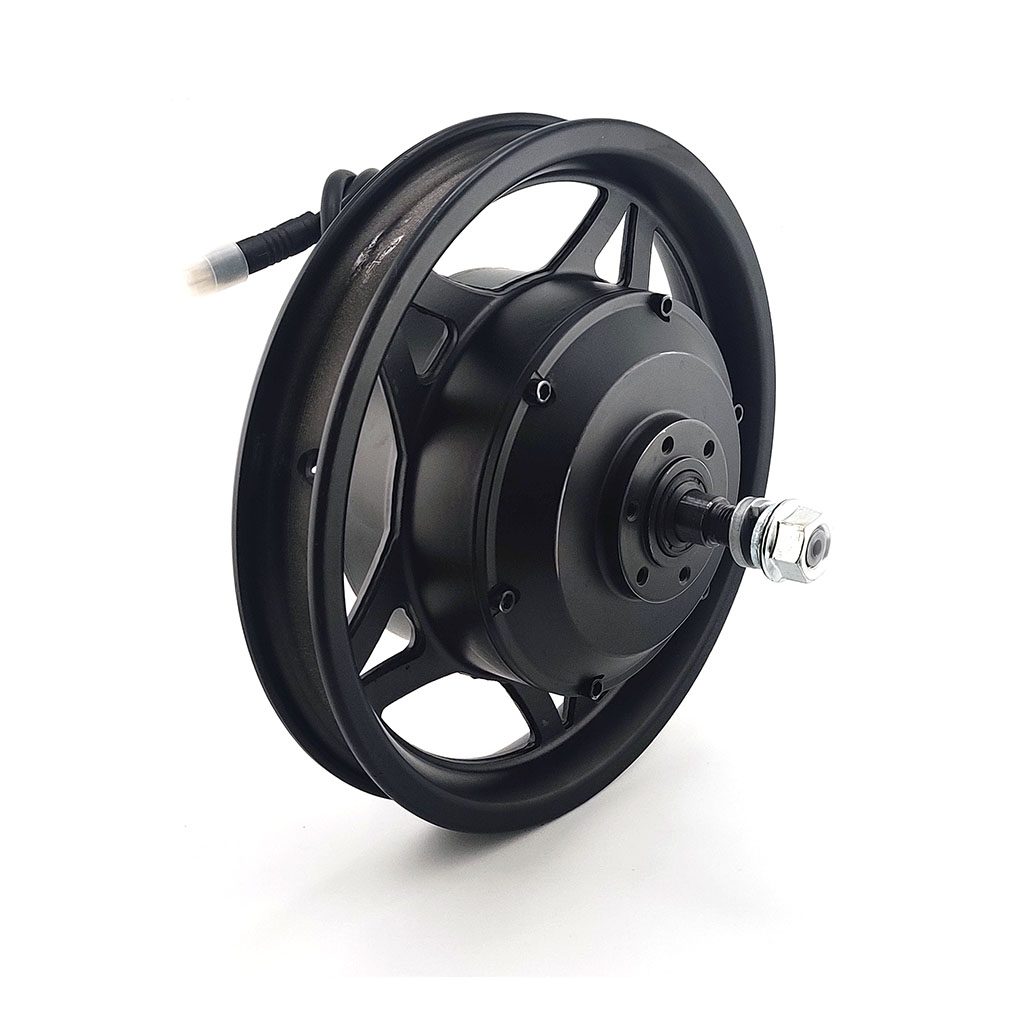 e12 Rear Motor Hub & Wheel Assembly 250W 24V