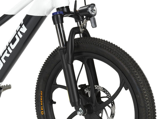 Orion e20x – 20″ Wheel 500W 48V – Deluxe Electric Balance Bike